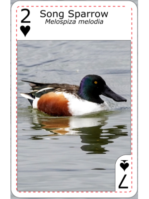 Playing cards design 6