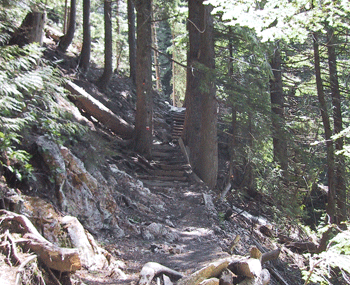 The Grouse Grind