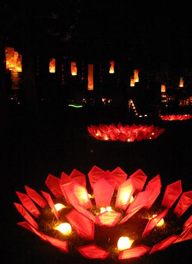 Illuminares Lantern Procession