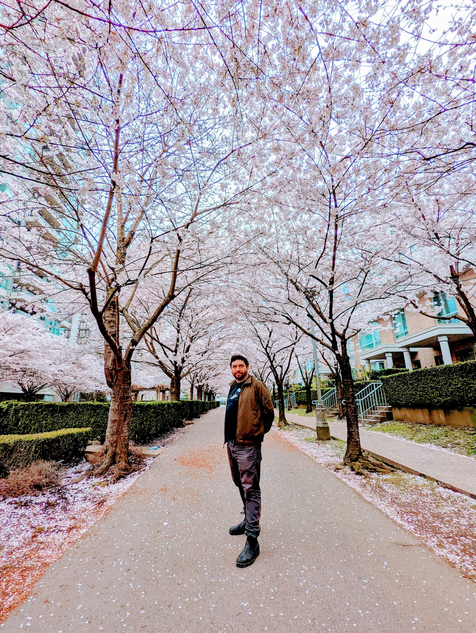 Example Cherry Blossom Profile Photo