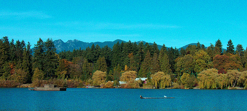 Stanley Park