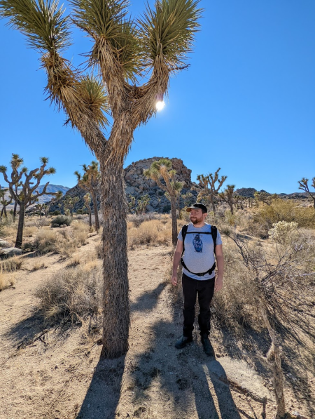 Joshua Tree