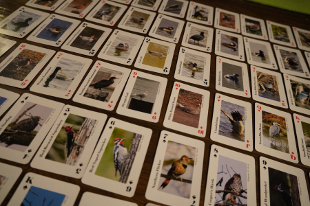 Playing cards layed out