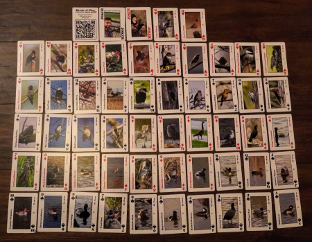 Playing cards all layed out