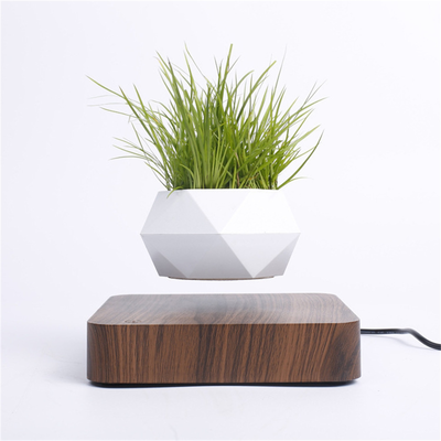 magnetic-levitation-plant