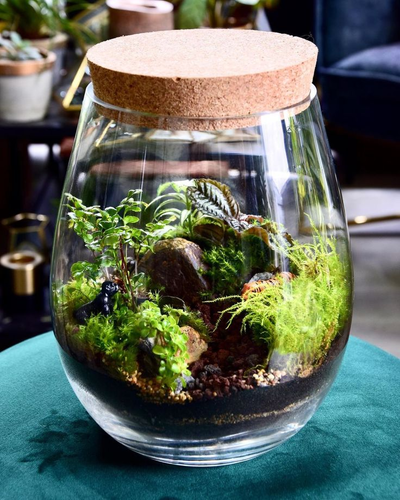mason-jar-terrarium