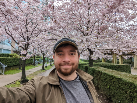 cherryblossoms