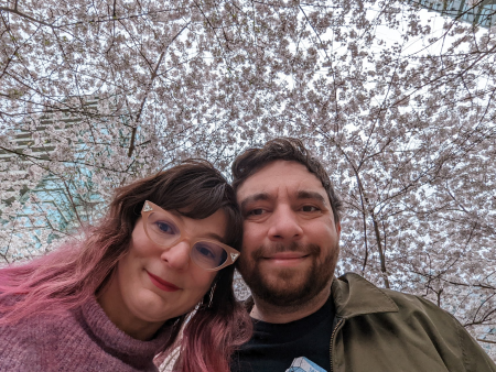 cherryblossoms